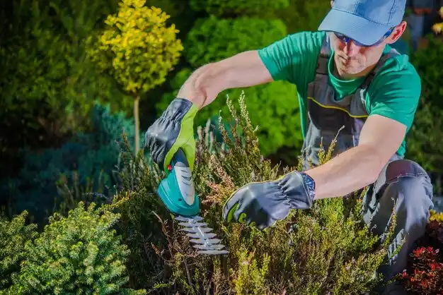 landscaping services Somerset